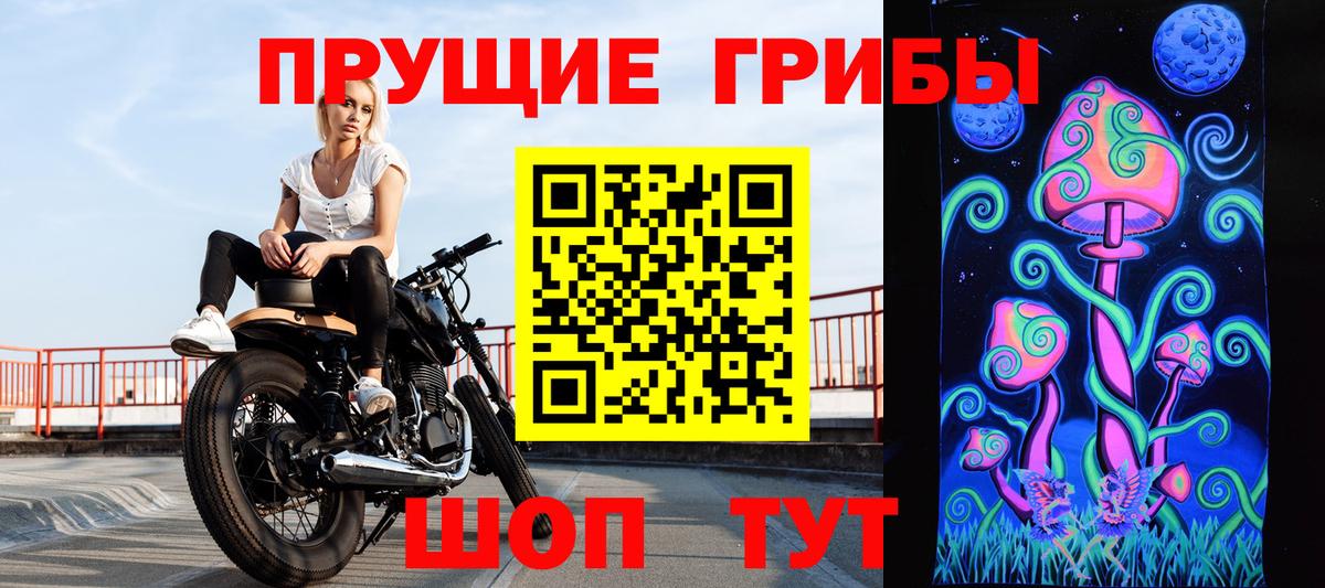 Кохма  Галлюциногенные грибы Psilocybe  купить   Вход с VPN  Псилоцибиновые грибы GOLDEN TEACHER 